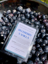 Blueberry Vanilla Soy Wax Melts