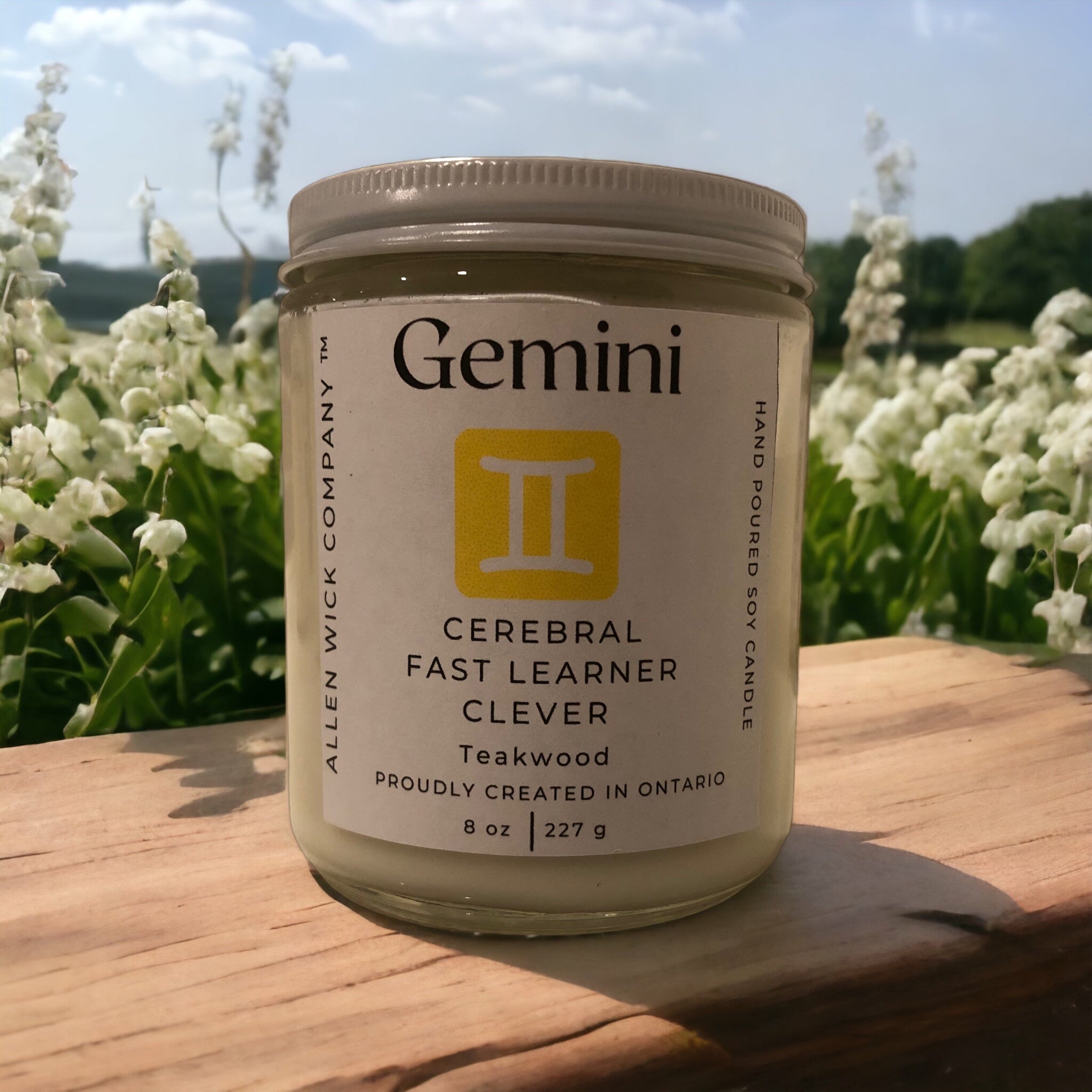 Gemini May 21 June 20. Zodiac Sign Soy Jar Candle Small and Medium